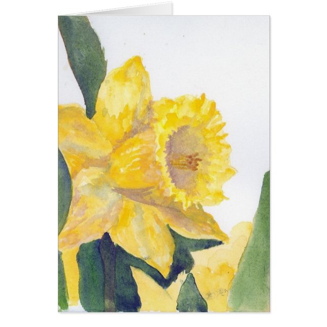 Yellow Daffodil Card (Front)