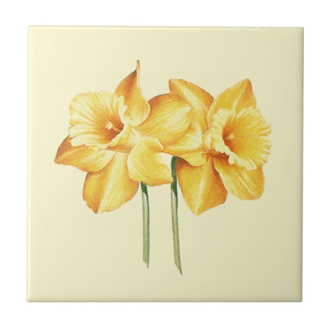 Yellow Daffodil Ceramic Tile (Front)
