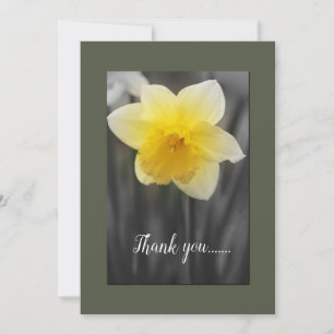 Yellow Daffodil Flat Thank You Card