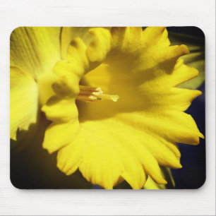 Yellow Daffodil Flower  Mouse Mat
