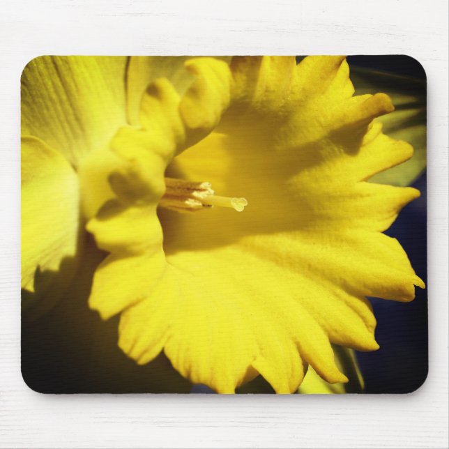 Yellow Daffodil Flower  Mouse Mat (Front)