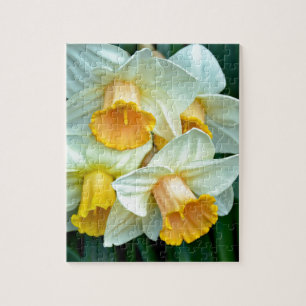Yellow daffodil flowers jigsaw puzzle