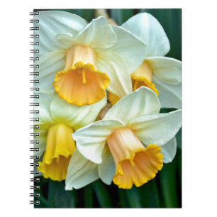 Yellow daffodil flowers notebook