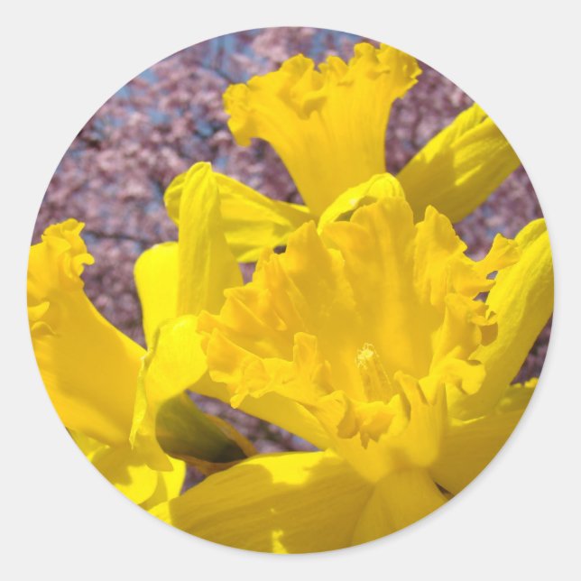 Yellow Daffodil Flowers stickers Envelope seals (Front)