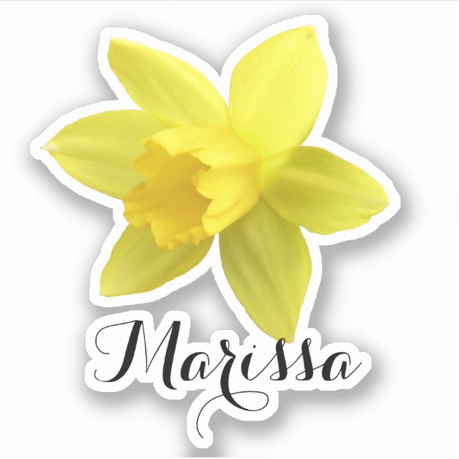 Yellow Daffodil Name (Front)