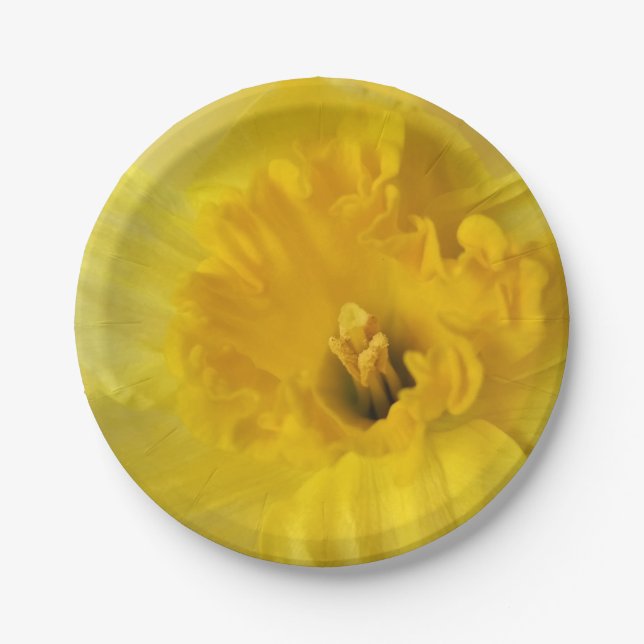 yellow daffodil paper plate (Front)
