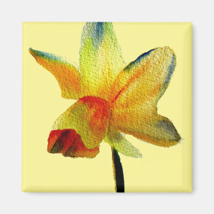 Yellow Daffodil watercolour art Spring Flower Magnet