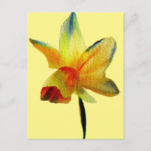 Yellow Daffodil watercolour art Spring Flower Postcard