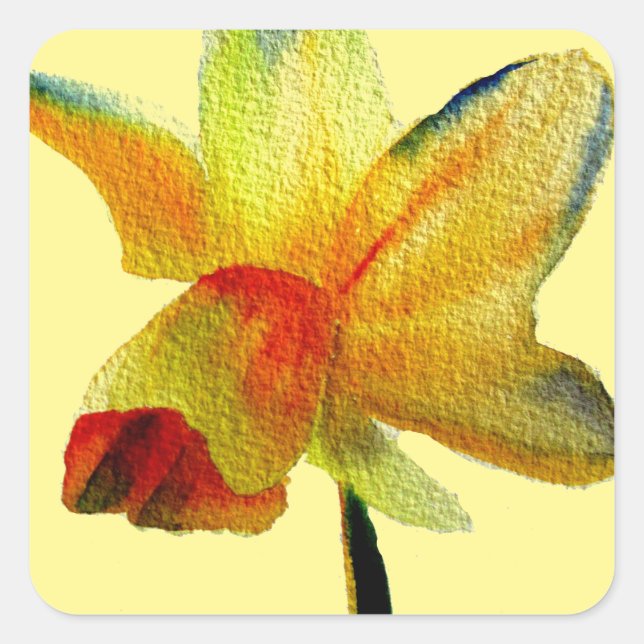 Yellow Daffodil watercolour art Spring Flower Square Sticker (Front)