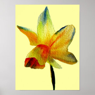 Yellow Daffodil watercolour spring flower art Poster