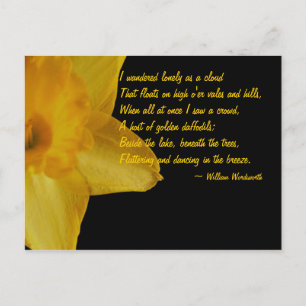 Yellow Daffodil; William Wordsworth Poem Postcard