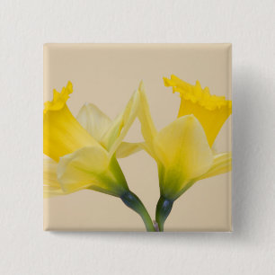 Yellow daffodils 15 cm square badge