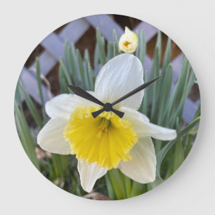 Yellow Daffodils #1 Large Clock