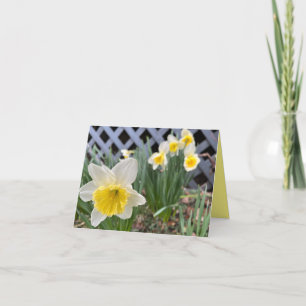 Yellow Daffodils #3 Card