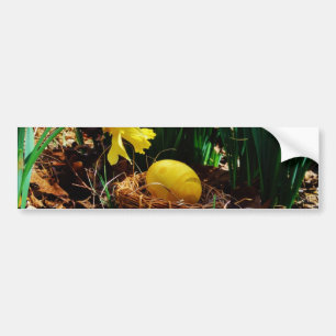Yellow Daffodils and a Yellow Easter egg Bumper Sticker