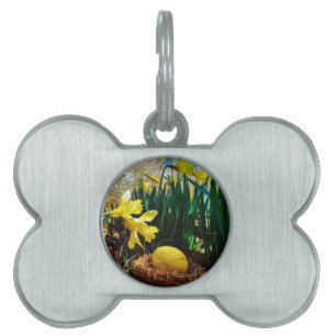 Yellow Daffodils and a Yellow Easter egg Pet Tag