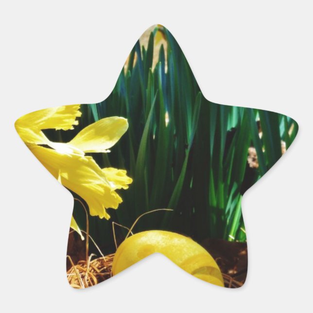 Yellow Daffodils and a Yellow Easter egg Star Sticker (Front)