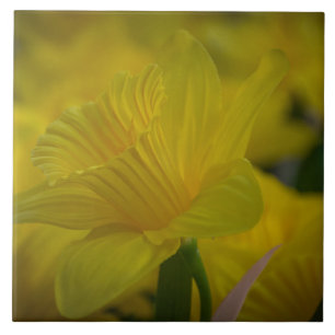 Yellow daffodils ceramic tile