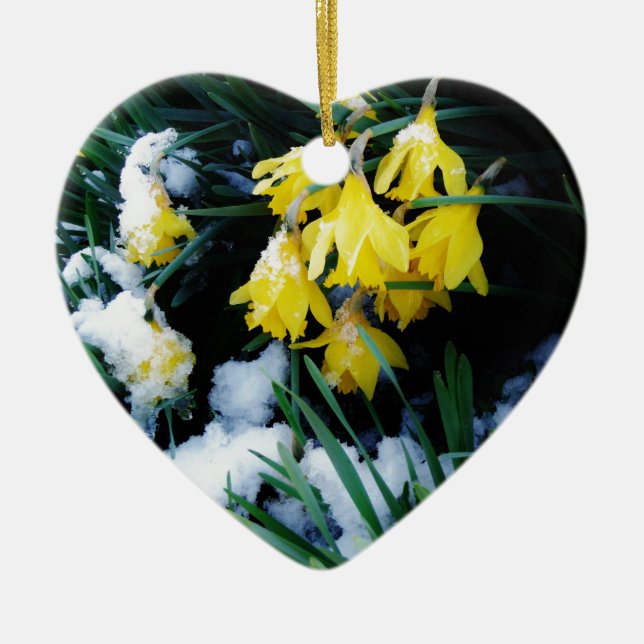 Yellow Daffodils flowers in the snow Ceramic Tree Decoration (Front)