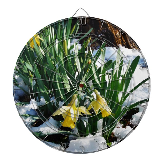 Yellow Daffodils flowers in the snow Dartboard (Front)