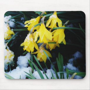 Yellow Daffodils flowers in the snow Mouse Mat