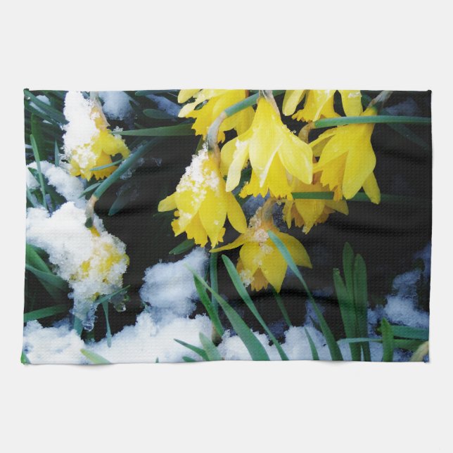 Yellow Daffodils flowers in the snow Tea Towel (Horizontal)
