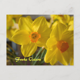 Yellow daffodils Frohe Ostern postcard