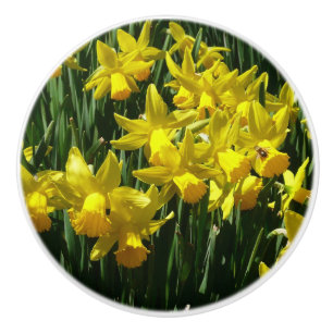 Yellow Daffodils I Cheery Spring Flowers Ceramic Knob