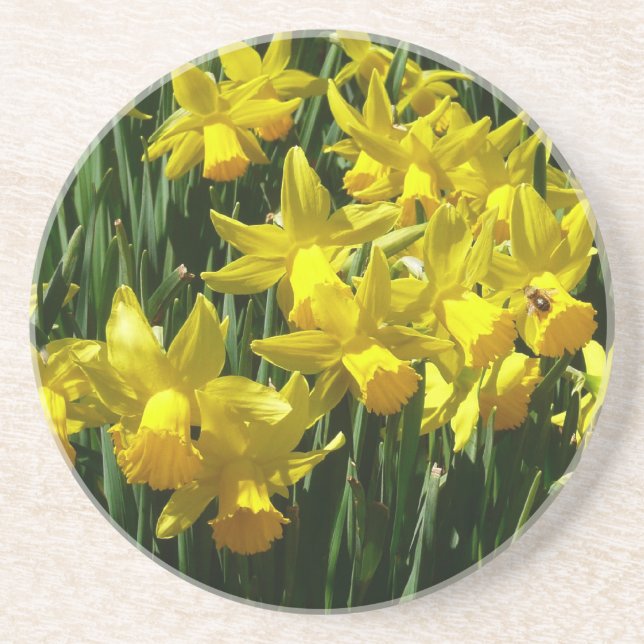 Yellow Daffodils I Cheery Spring Flowers Coaster (Front)