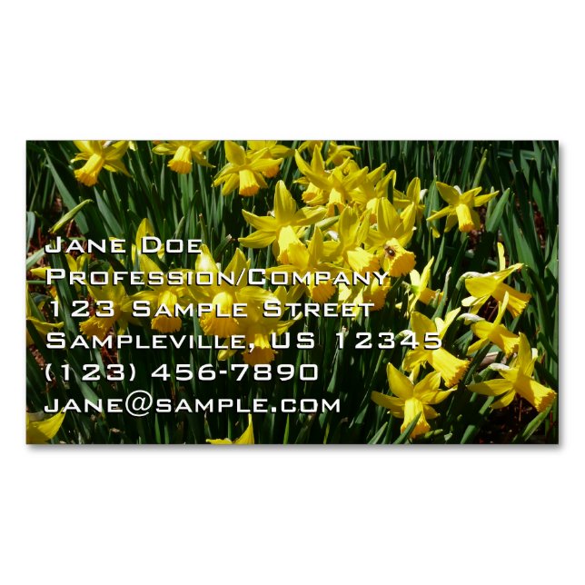 Yellow Daffodils I Cheery Spring Flowers Magnetic Business Card (Front)