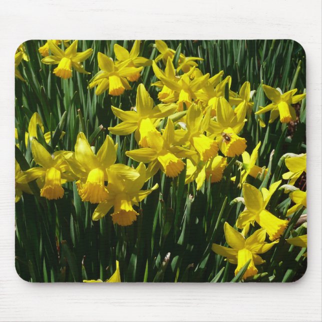 Yellow Daffodils I Cheery Spring Flowers Mouse Mat (Front)