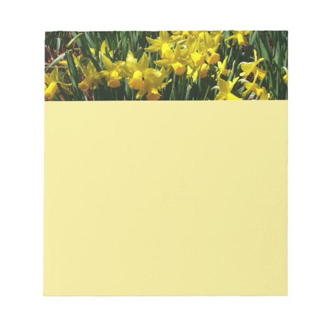 Yellow Daffodils I Cheery Spring Flowers Notepad (Front)