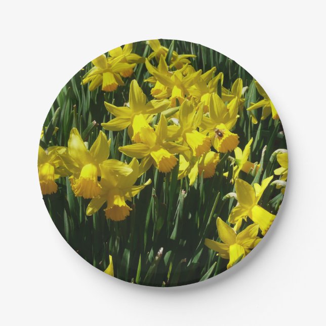 Yellow Daffodils I Cheery Spring Flowers Paper Plate (Front)
