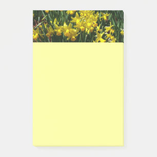Yellow Daffodils I Cheery Spring Flowers Post-it Notes