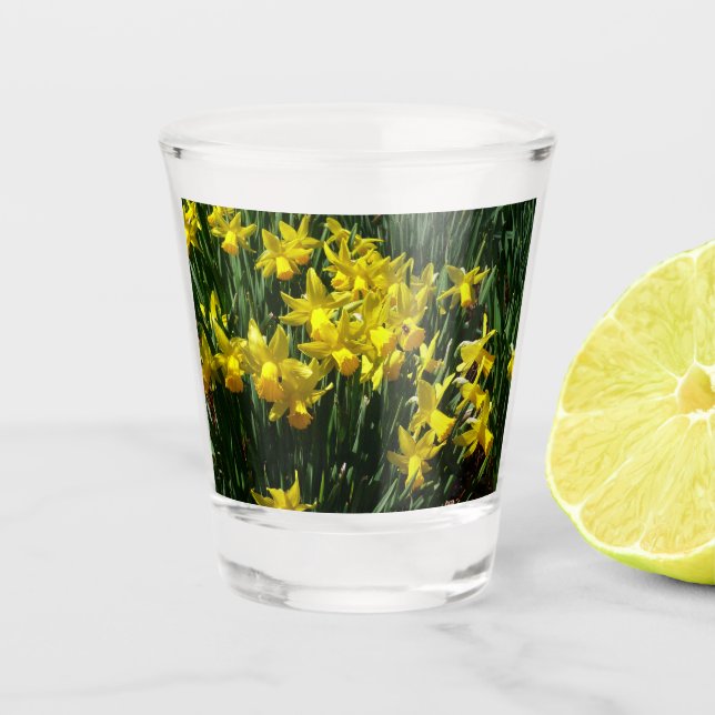 Yellow Daffodils I Cheery Spring Flowers Shot Glass (Front)