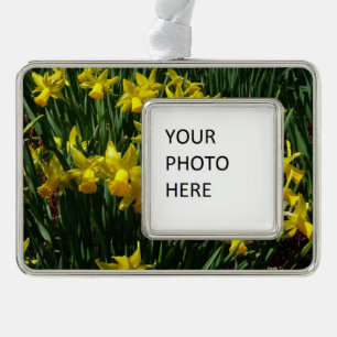 Yellow Daffodils I Cheery Spring Flowers Silver Plated Framed Ornament