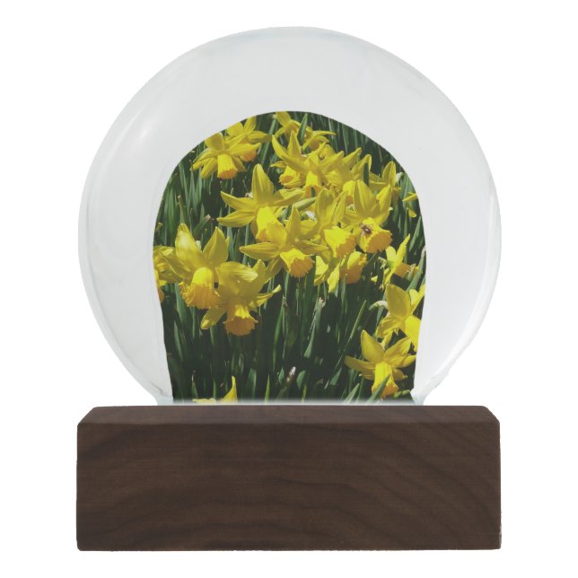 Yellow Daffodils I Cheery Spring Flowers Snow Globe (Front)