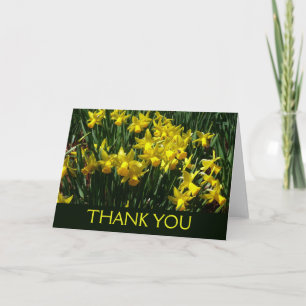 Yellow Daffodils I Thank You Card