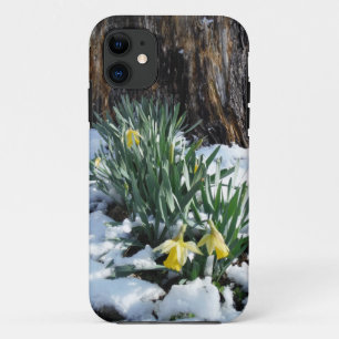 Yellow Daffodils in the snow iPhone 11 Case