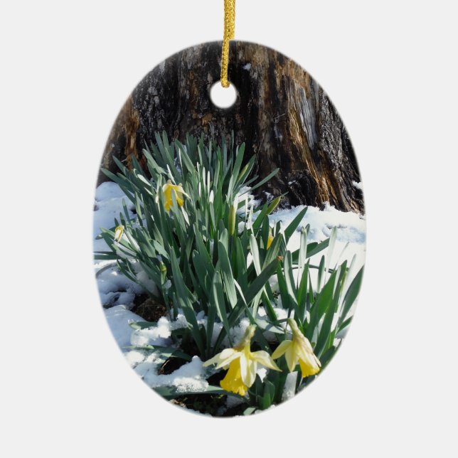 Yellow Daffodils in the snow Ceramic Tree Decoration (Front)