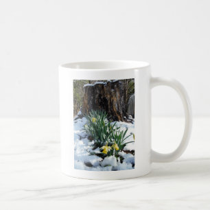 Yellow Daffodils in the snow Coffee Mug