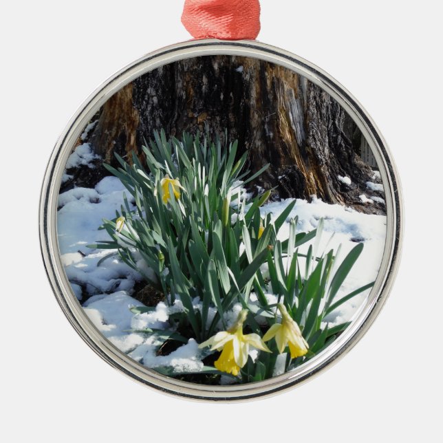 Yellow Daffodils in the snow Metal Tree Decoration (Front)