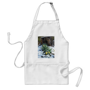 Yellow Daffodils in the snow Standard Apron