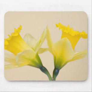 Yellow daffodils mouse mat