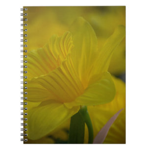 Yellow daffodils notebook