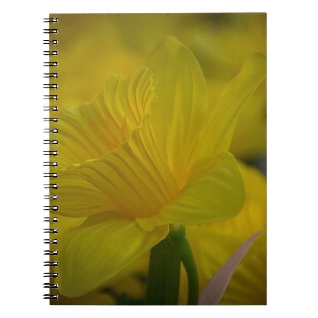 Yellow daffodils notebook (Front)