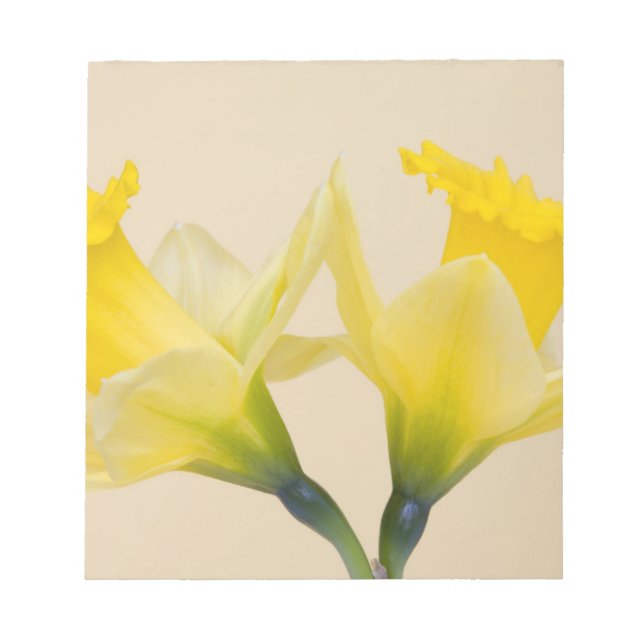 Yellow daffodils notepad (Front)