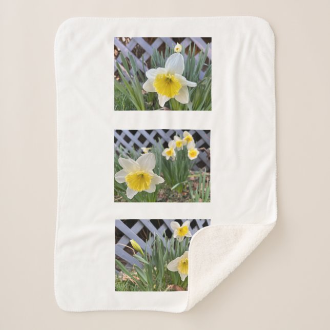 Yellow Daffodils Sherpa Blanket (Front)
