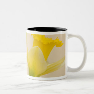 Yellow daffodils Two-Tone coffee mug