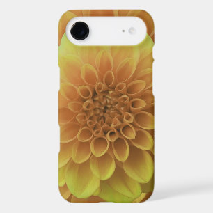 Yellow Dahlia